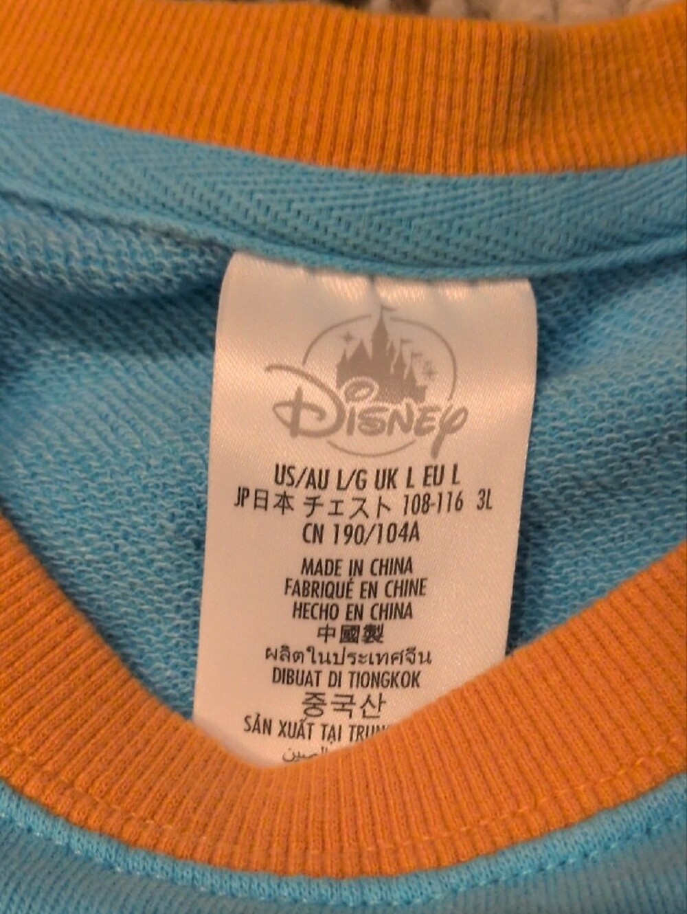 Disney Blue and Gold Forbidden Mountain Expedition Sweatshirt - Picture 2 of 12